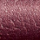 02469 Majestic Plum