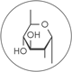 k polisacharydy
